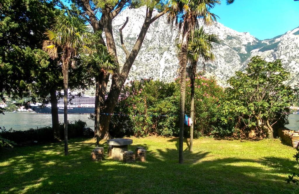 Ribica Apartments Kotor Buitenkant foto